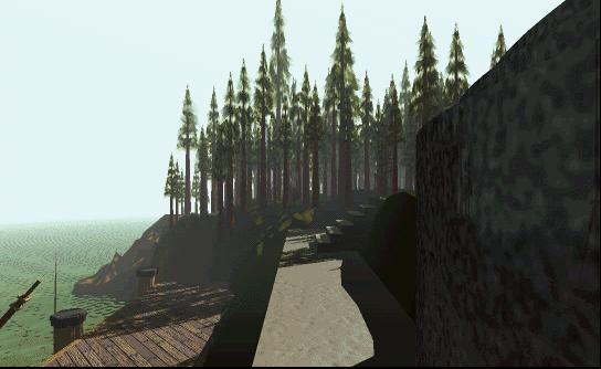 Turning around while walking up adjacently to the pier.