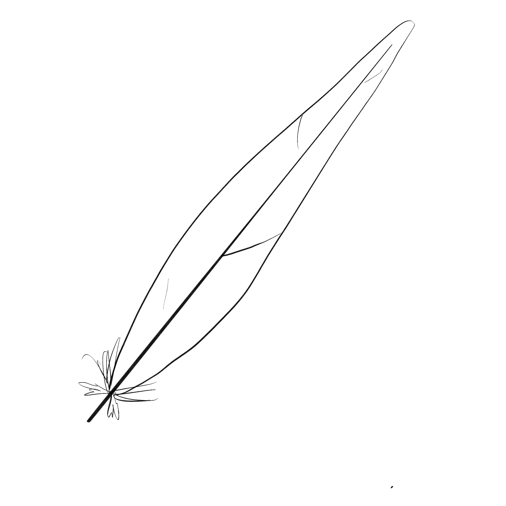 a feather