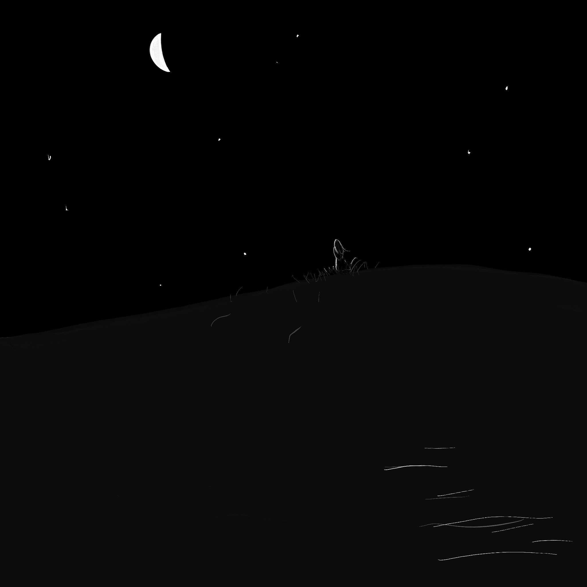 dark field with a girl at the top of a dark hill under the moonlight