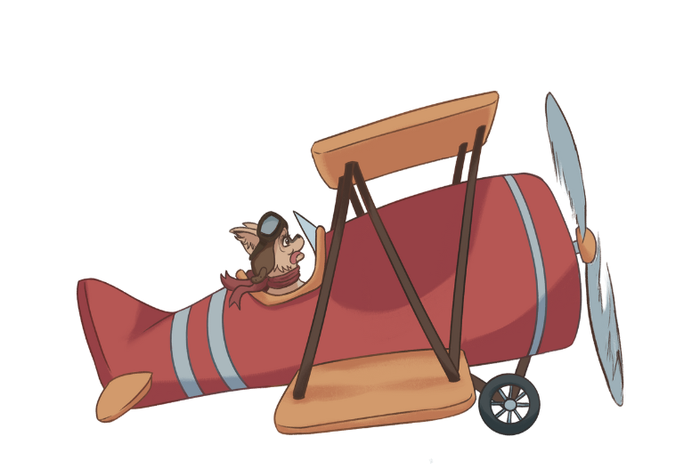 Biplane 1