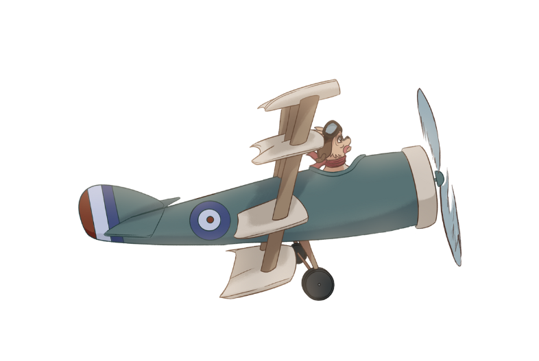 Biplane 3