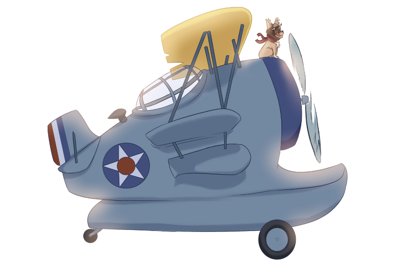 Biplane 5