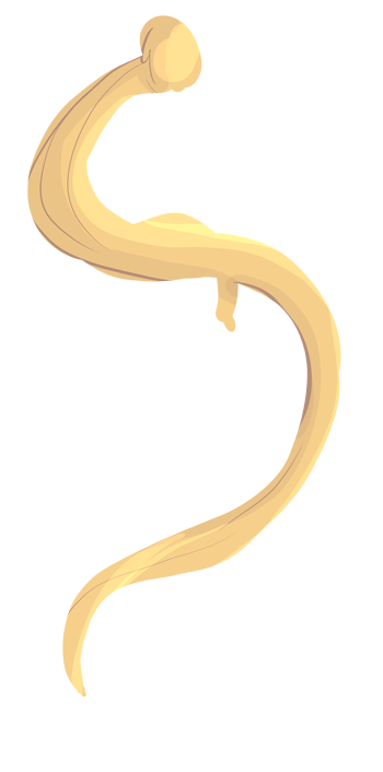 hair 4