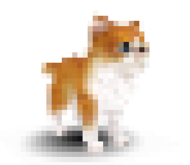 A pixelated orange and white longhair cat