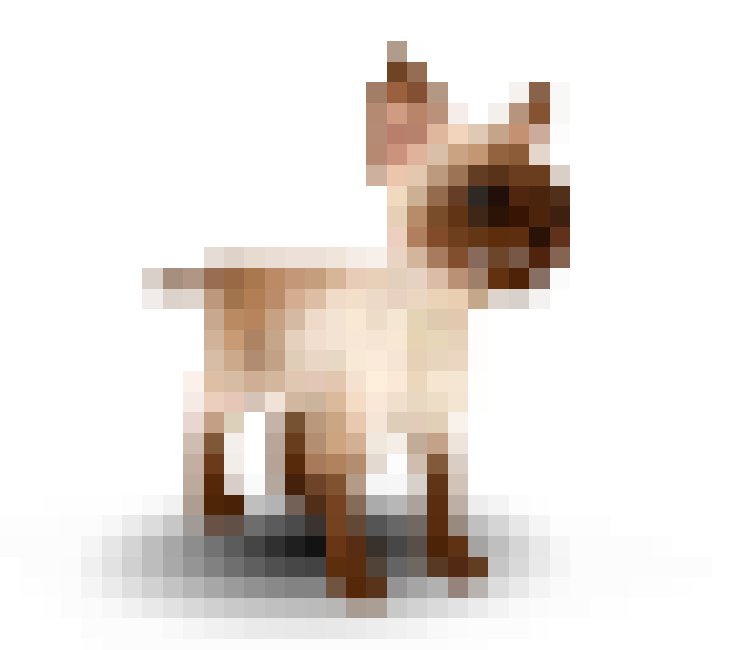 A pixelated brown and white siamese cat