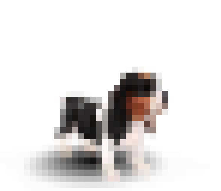 A pixelated brown, black and white basset hound dog