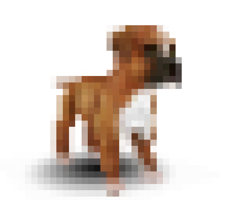 A pixelated brown, black and white boxer dog