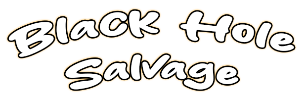 Black Hole Salvage