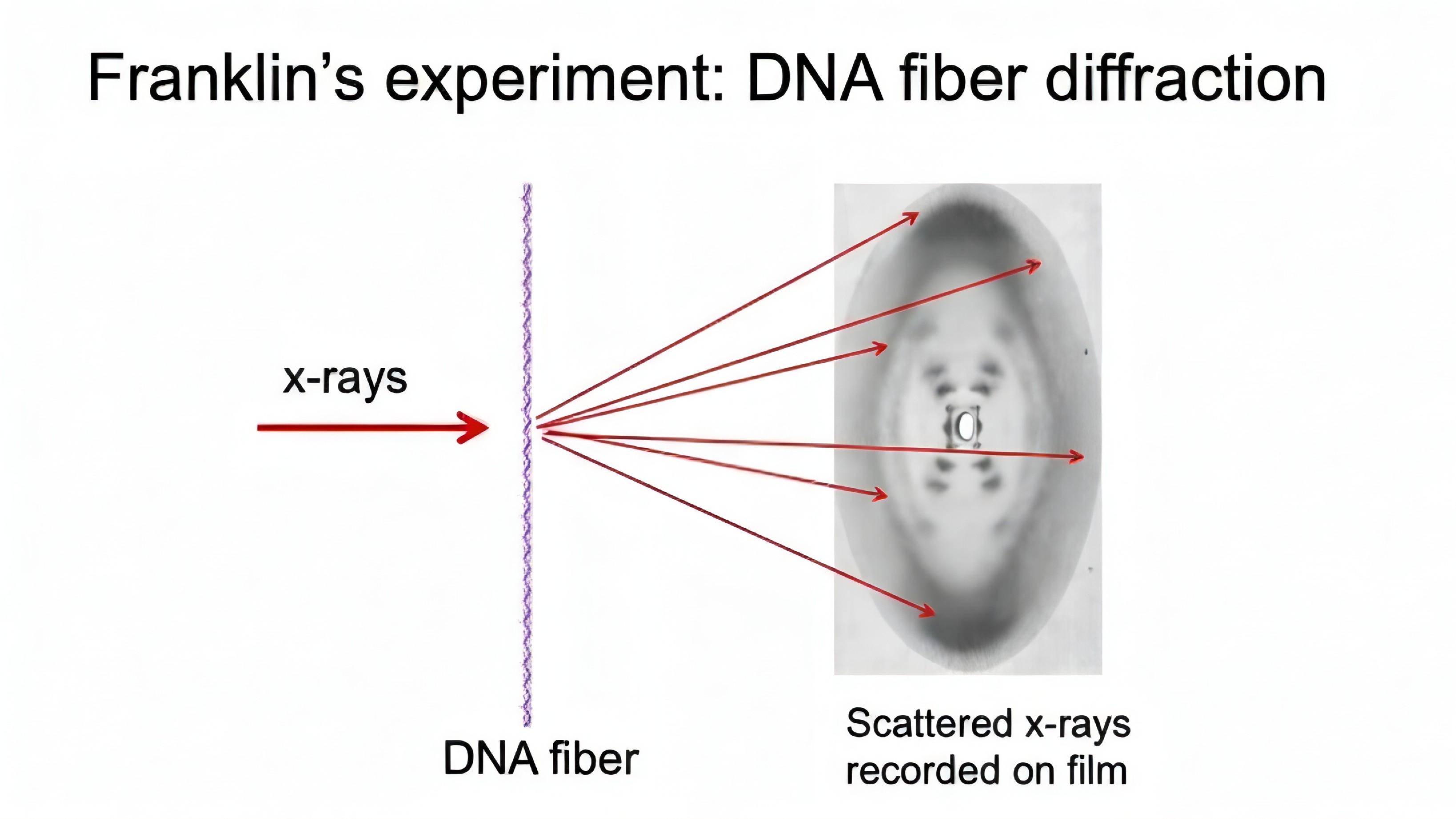 X-ray Diffraction
