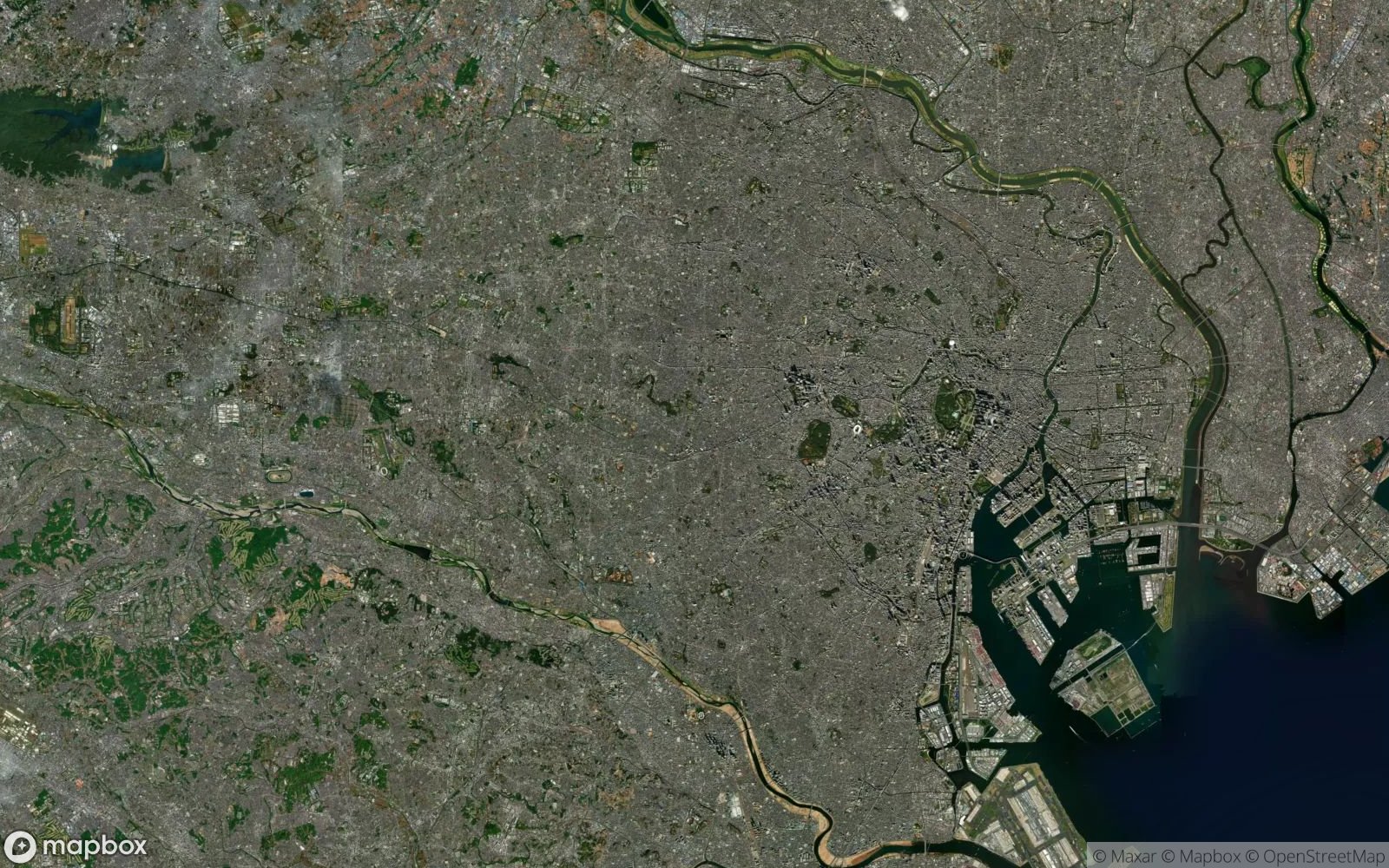 Tokyo satellite view