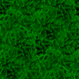 Grass