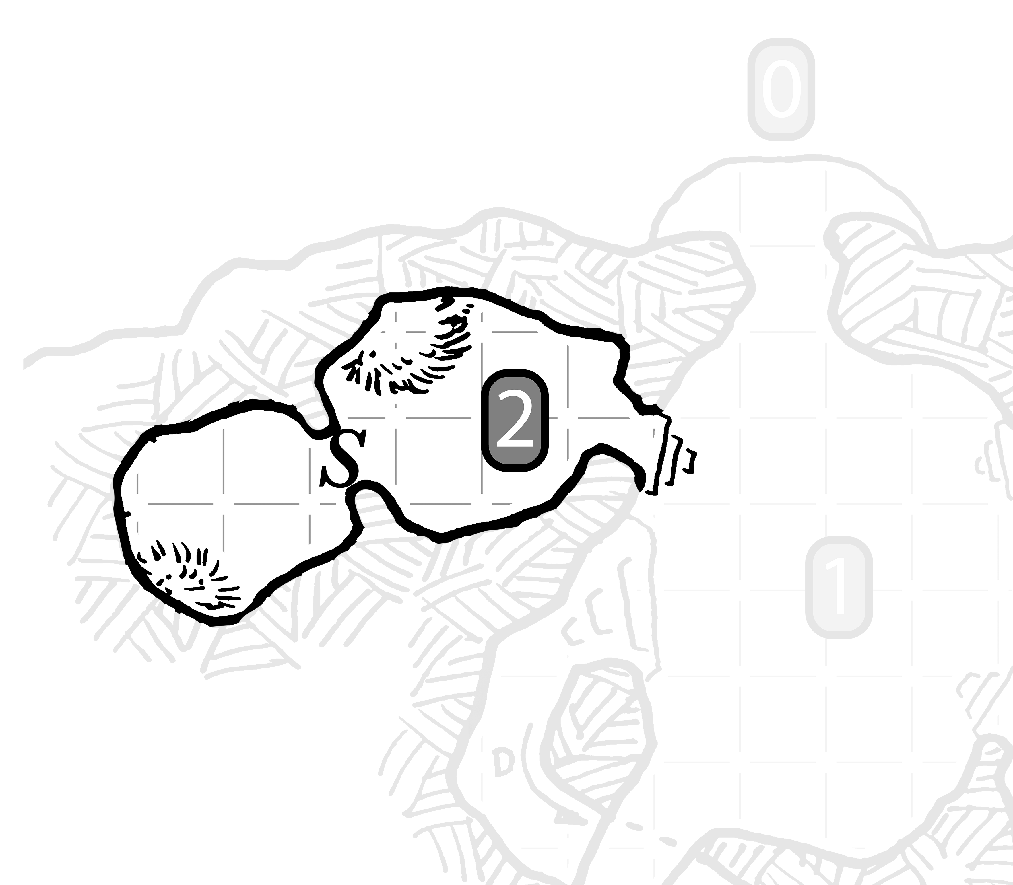 Map of the Nest