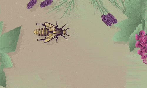 Press and hold to move bee.