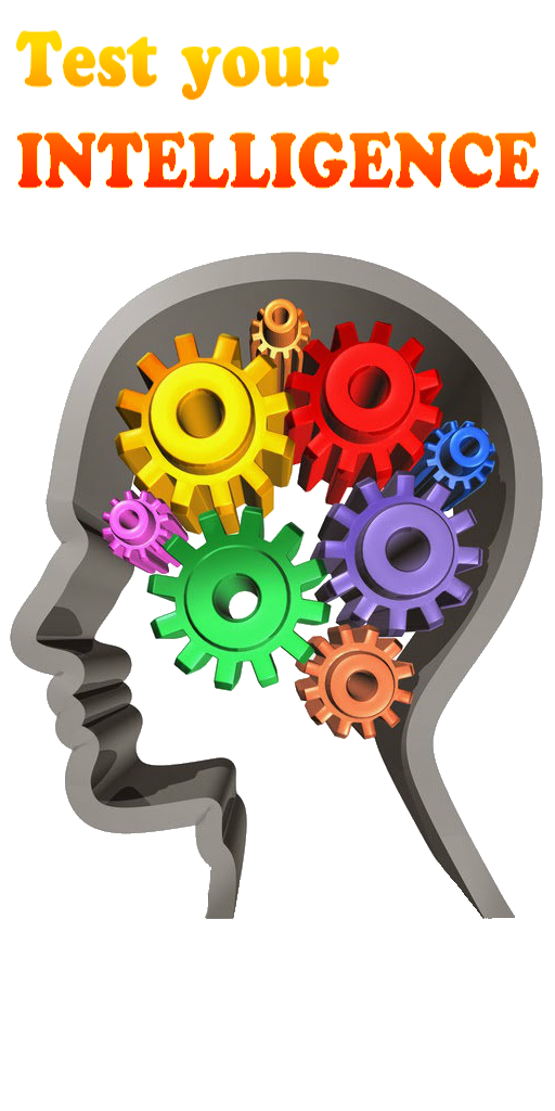 Test your intelligence