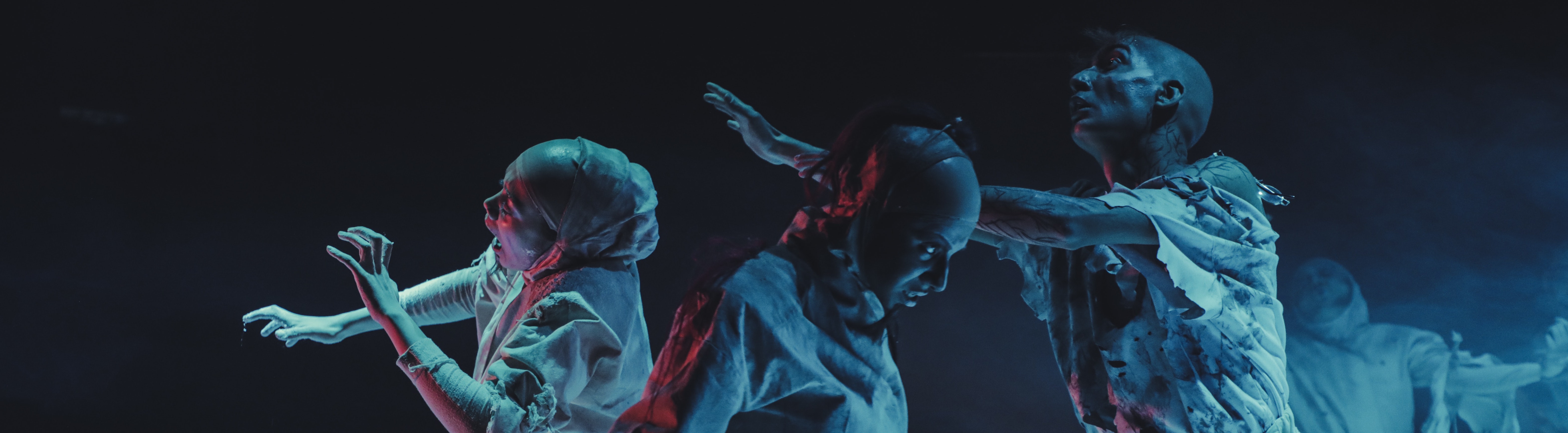 pexels bruno-thethe-1910225