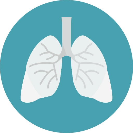 lungs