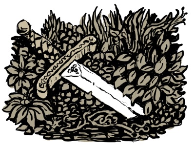 swords decoration